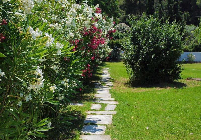 Hotel Skiathos Holidays  | Vromolimnos | Skiathos | Greece 18