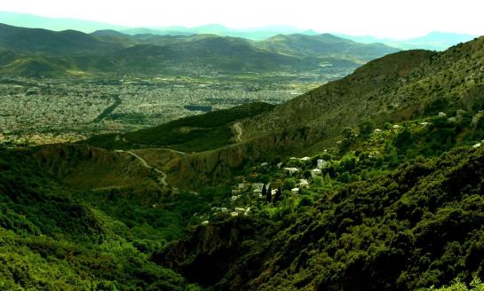 Hotel The Lotus Tree  | Volos | Thessaly | Greece 1