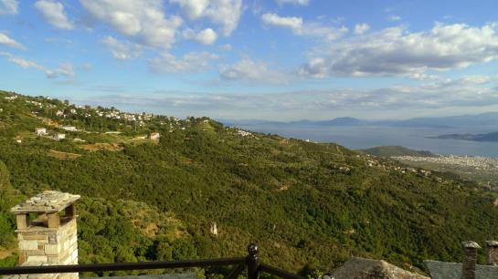 Hotel The Lotus Tree  | Volos | Thessaly | Greece 16