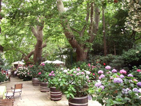 Hotel The Lotus Tree  | Volos | Thessaly | Greece 17