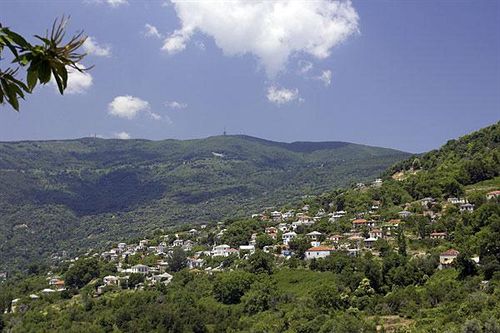 Hotel Palio Eleotrivio  | Volos | Thessaly | Greece 14