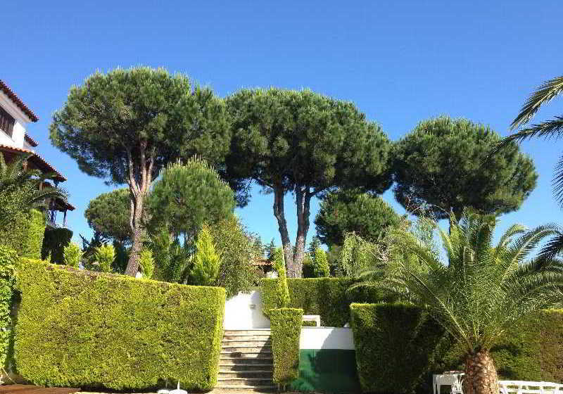 Villa Xanthippi  | Agia Paraskevi | Skiathos | Greece 11