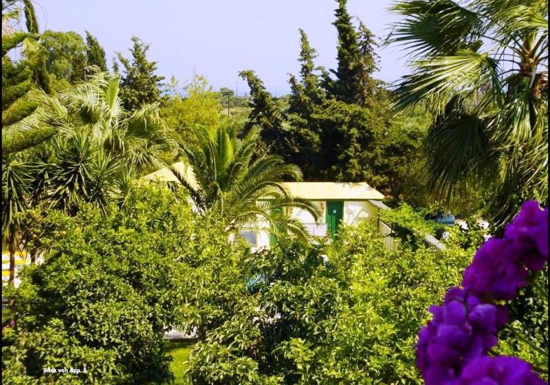 Hotel Lemon Garden  | Vassilikos | Zakynthos | Greece 7