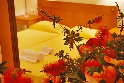 Hotel Miro Zante Imperial  | Vassilikos | Zakynthos | Greece 3