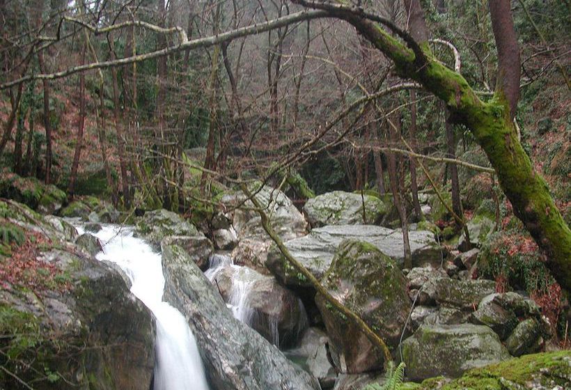 Hotel Erofili  | Portaria | Thessaly | Greece 3