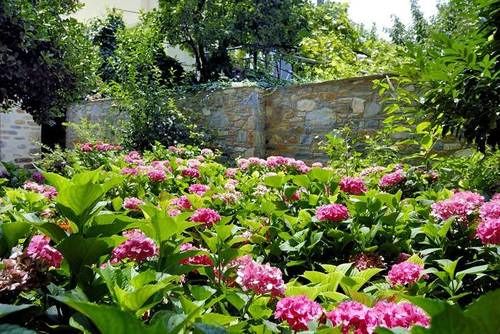 Hotel Archontiko Naoumidi  | Pelion | Thessaly | Greece 6