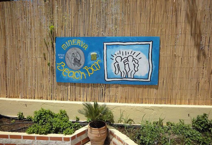 Hotel Minerva Beach  | Agia Marina | Creta | Grecia 5