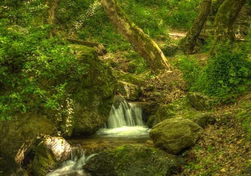 Hotel Lions Nine  | Volos | Thessaly | Greece 17