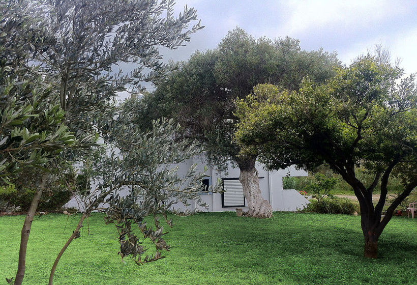 Emilia  | Agios Vasileios | Crete | Greece 4