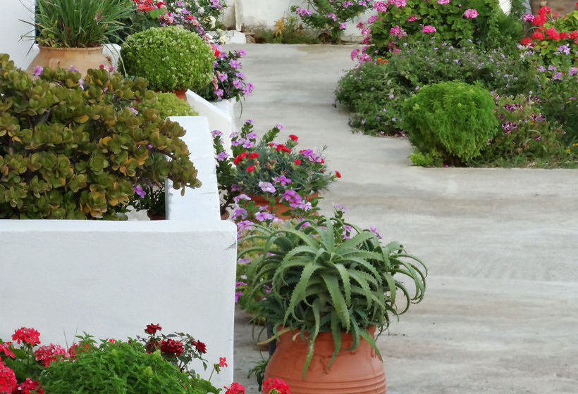 Emilia  | Agios Vasileios | Crete | Greece 5