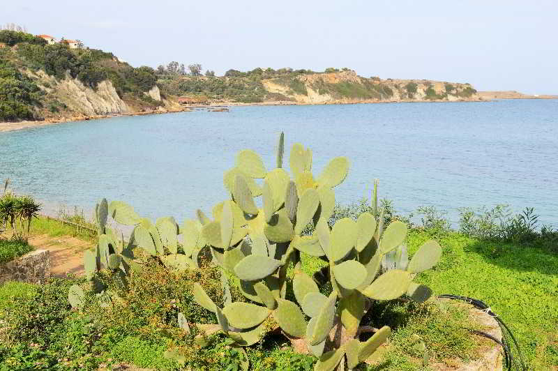 Brigitta Rooms  | Vassilikos | Zakynthos | Greece 13