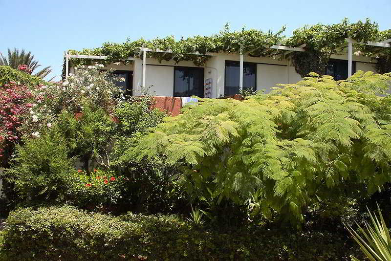 Adele Beach Hotel Bungalows  | Adelianos Kampos | Crete | Greece 1