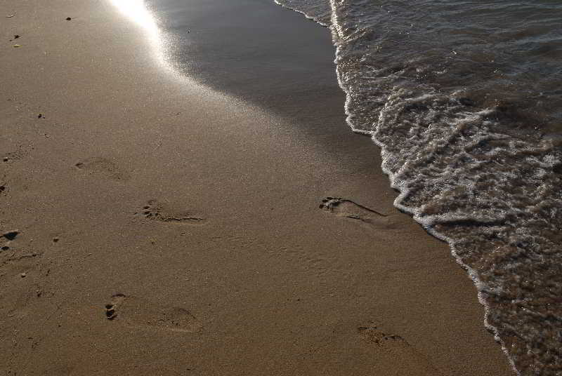 Hotel Klinakis Beach  | Chania | Crete | Greece 6