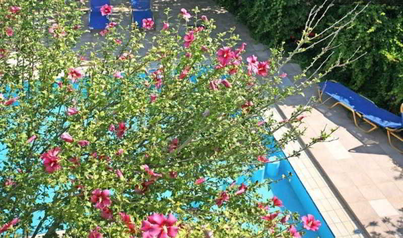 Villa Armonia La Canea