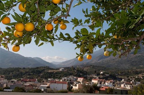 Nana Apartments  | Zaros | Crete | Greece 17