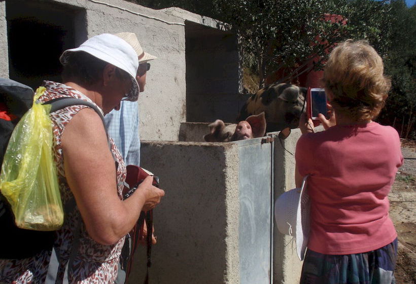 Hotel Keramos  | Zaros | Crete | Greece 3