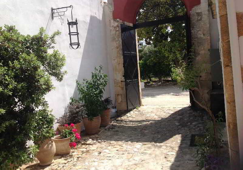 Hotel Oasis Guesthouse  | Chania | Crete | Greece 1