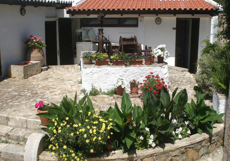 Hotel Oasis Guesthouse  | Chania | Crete | Greece 14