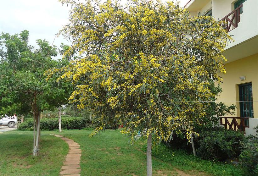 Portokali Apartments  | Hersonissos | Crete | Greece 1