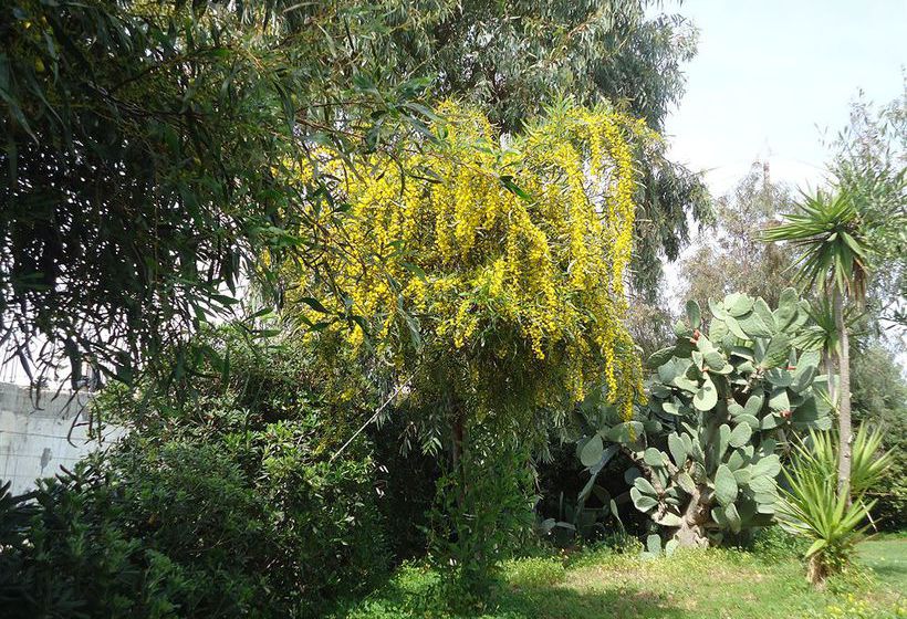 Portokali Apartments  | Hersonissos | Crete | Greece 6