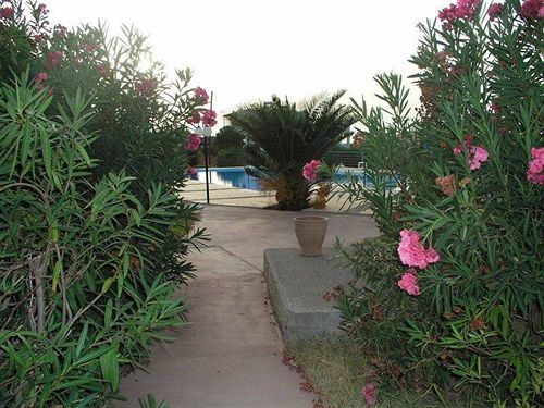 Anthemis Apartments  | Chania | Crete | Greece 3