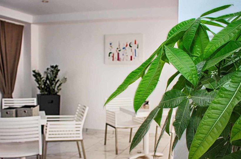 Hotel Kahlua Boutique  | Limin Hersonissou | Crete | Greece 10