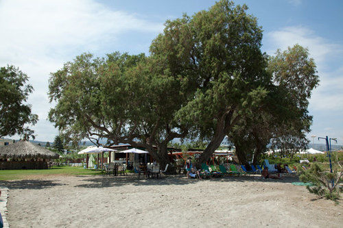 Gold Apartments  | Platanias - Rethymno | Crete | Greece 9