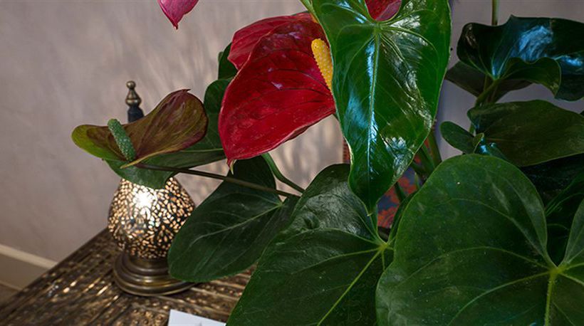 Bed and Breakfast La Maison Ottomane  | Chania | Crete | Greece 6