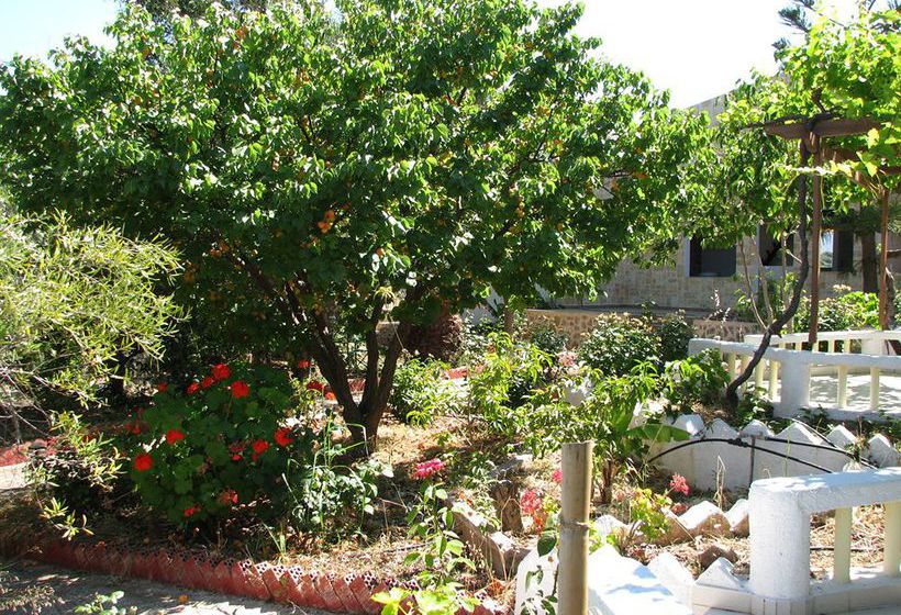 Sunrise Apartments  | Sitia | Crete | Greece 10