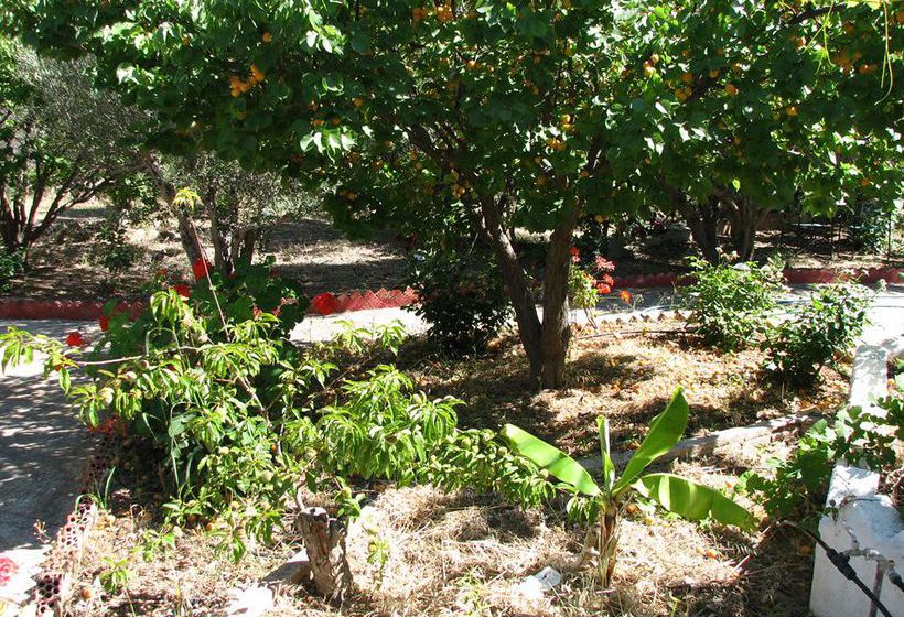 Sunrise Apartments  | Sitia | Crete | Greece 8