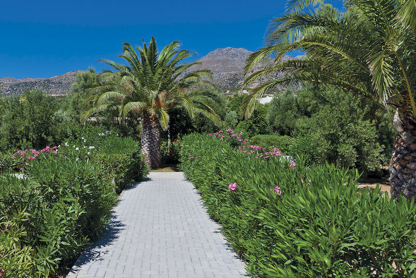 Hotel Cherry Village  | Koutsounara | Crete | Greece 5