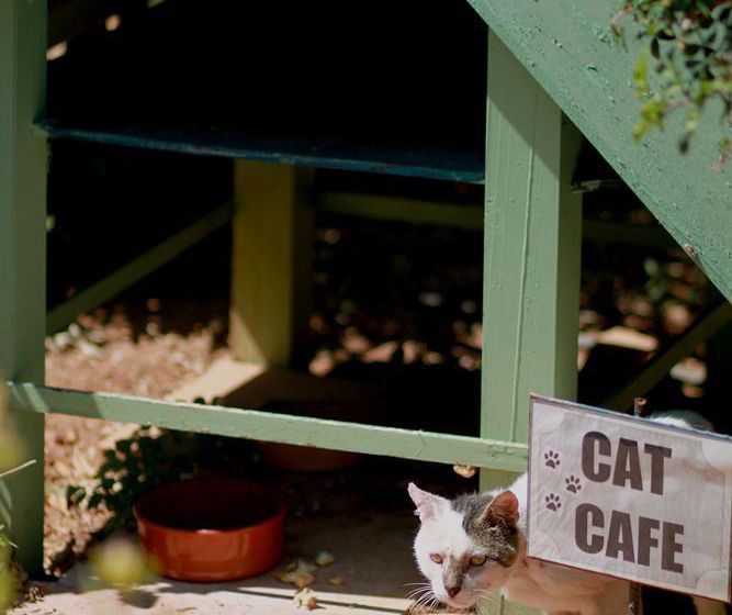 Hotel Koutouloufari Village Holiday Club  | Limin Hersonissou | Crete | Greece 14