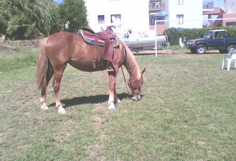 Alexandros M Aparthotel  | Chania | Crete | Greece 9