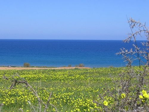 Hotel Alexis  | Chania | Crete | Greece 18