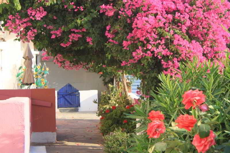 Hotel Apokoros Apartments  | Chania | Crete | Greece 1