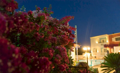 Hotel Saraya Resort  | Leros | Dodecanese | Greece 18