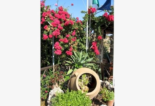 Hotel Saraya Resort  | Leros | Dodecanese | Greece 9