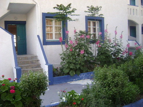 Hotel Kamari  | Kalymnos | Dodecanese | Greece 18