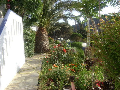 Hotel Kamari  | Kalymnos | Dodecanese | Greece 20