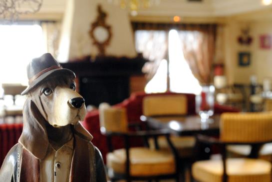 Hotel Alseides  | Elatochori | Epirus | Greece 2