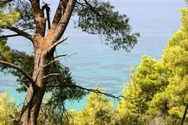 Dryades Hotel  | Siviri | Halkidiki | Greece 1