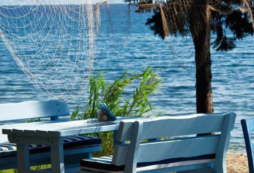 Hotel Lily Ann Beach  | Nikiti | Halkidiki | Grecia 17