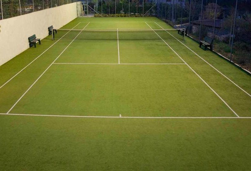 Hotel Lily Ann Beach  | Nikiti | Halkidiki | Grecia 6