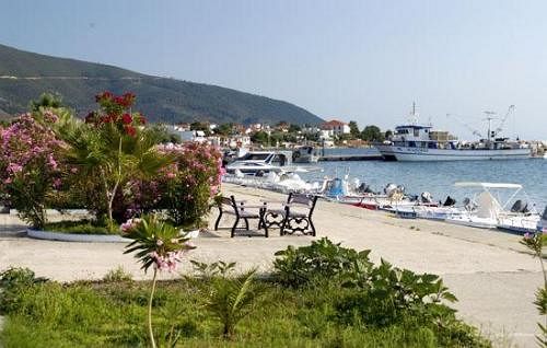 Hotel Studios Anny Family  | Thasos | East Macedonia and Thrace | Greece 15