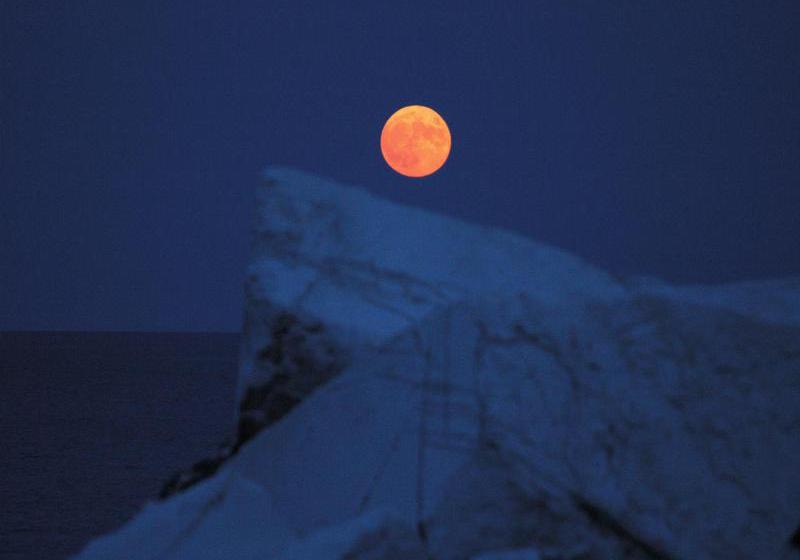 Makryammos Bungalows  | Thasos | East Macedonia and Thrace | Greece 20