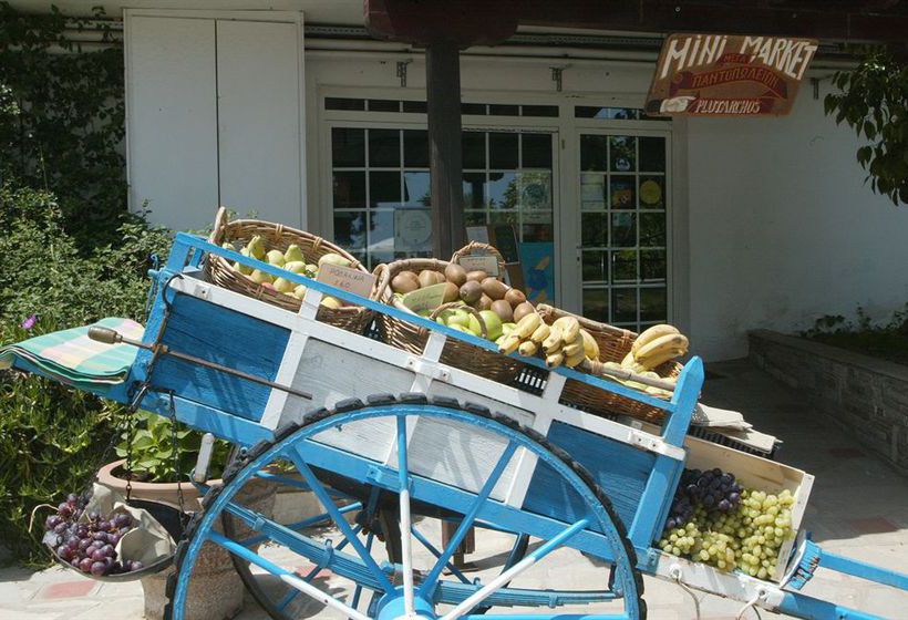 Hotel Alexander The Great Beach  | Kriopigi | Halkidiki | Greece 1