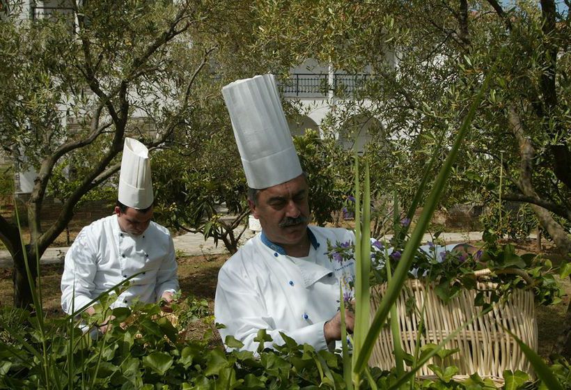 Hotel Alexander The Great Beach  | Kriopigi | Halkidiki | Greece 4