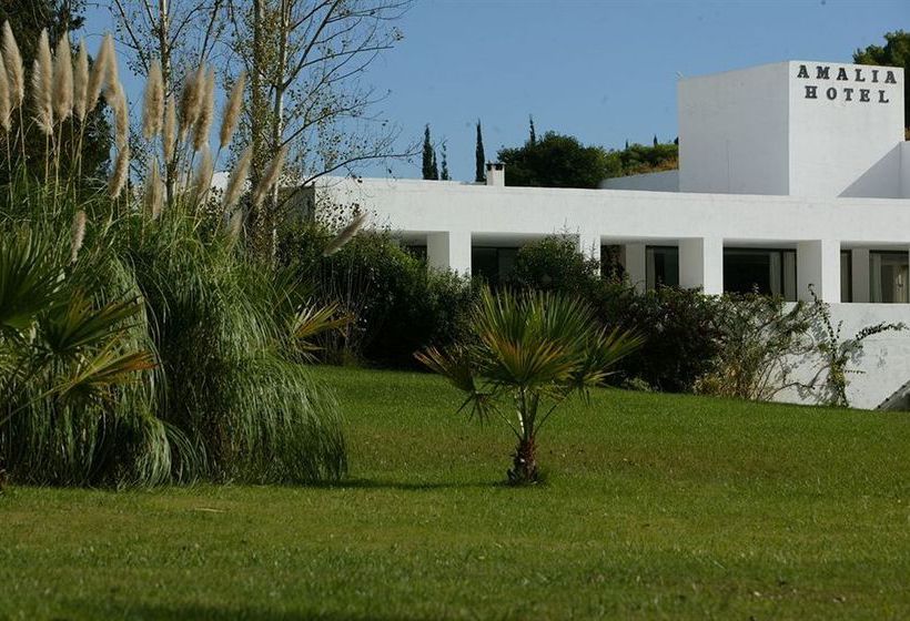 Amalia Hotel Olympia  | Olympia | Grecia Occidental | Grecia 4