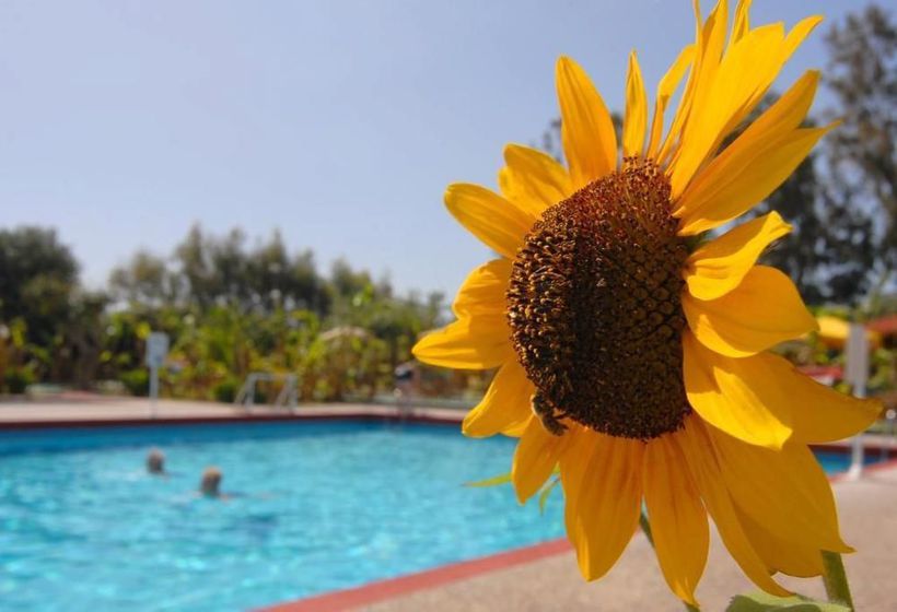 Hotel Irene Palace  | Kolymbia | Rhodes | Greece 1