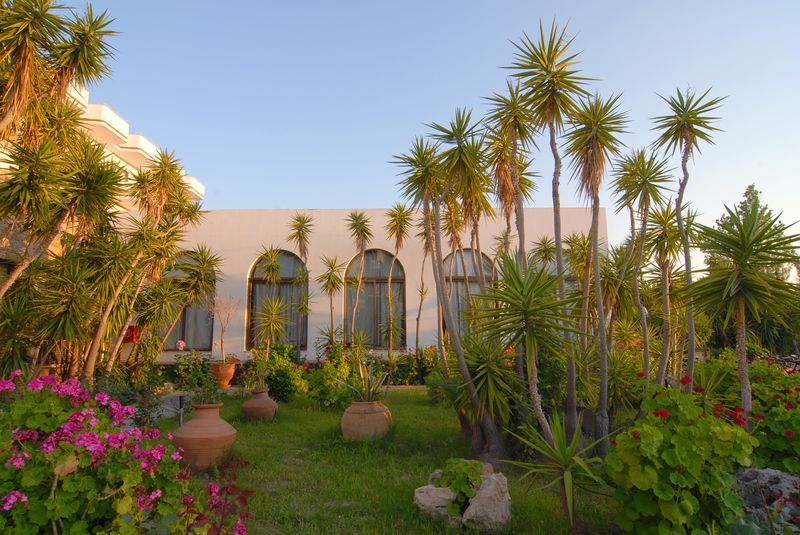 Hotel Irene Palace  | Kolymbia | Rhodes | Greece 6